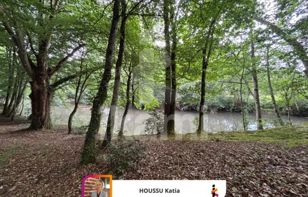 Propriété solognote au bord La Sauldre