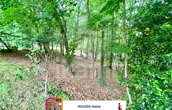 Propriété solognote au bord La Sauldre