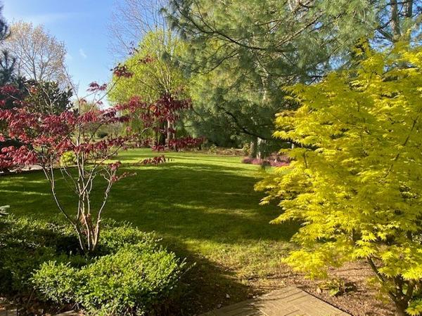 Propriété avec piscine à 2 pas de la Loire sur un parc arboré de 8900 m² à Germigny Des Prés