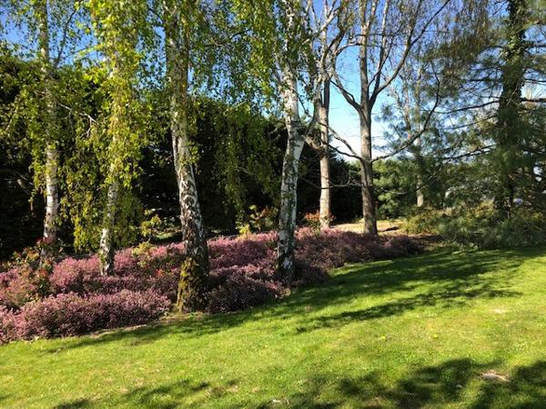 Propriété avec piscine à 2 pas de la Loire sur un parc arboré de 8900 m² à Germigny Des Prés