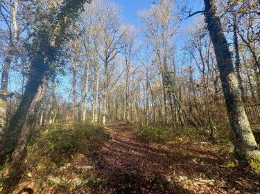 Terrain de loisirs - Bois - Etang à vendre à La Ferté-Imbault dans le Loir-et-Cher (41300), ref : 044/2044