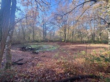 Terrain de loisirs - Bois - Etang à vendre à La Ferté-Imbault dans le Loir-et-Cher (41300), ref : 044/2044