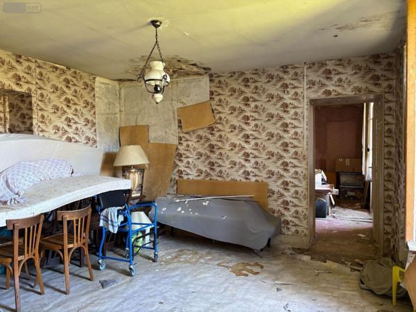 Maison à restaurer à vendre à Saint-Maur dans l'Indre (36250), ref : JA/755