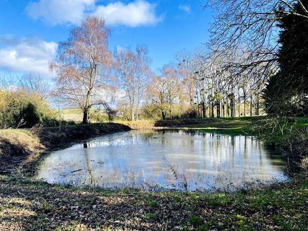 Terrain de loisir avec étang - 7 650 m² de nature [REF. 6857]