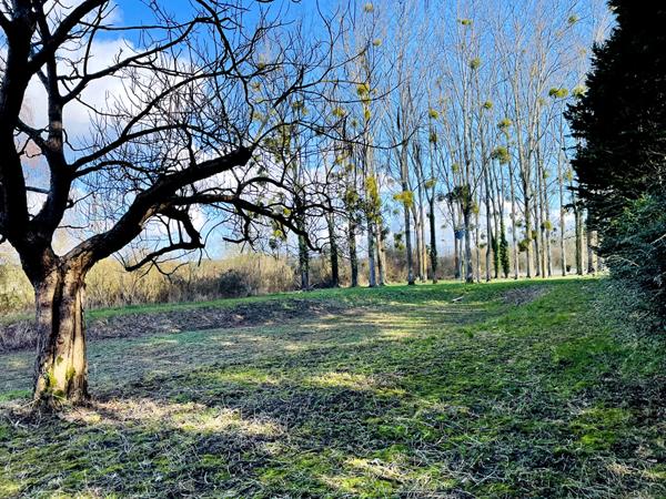 Terrain de loisir avec étang - 7 650 m² de nature [REF. 6857]