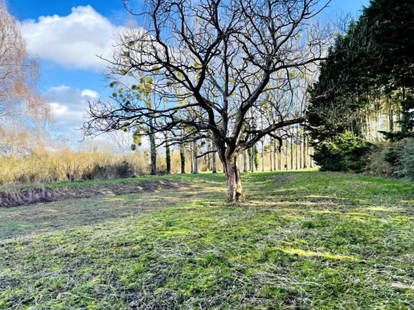 Terrain de loisir avec étang - 7 650 m² de nature [REF. 6857]
