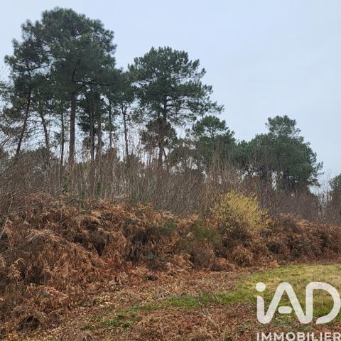 Terrain à vendre 44 000 m² Bazas