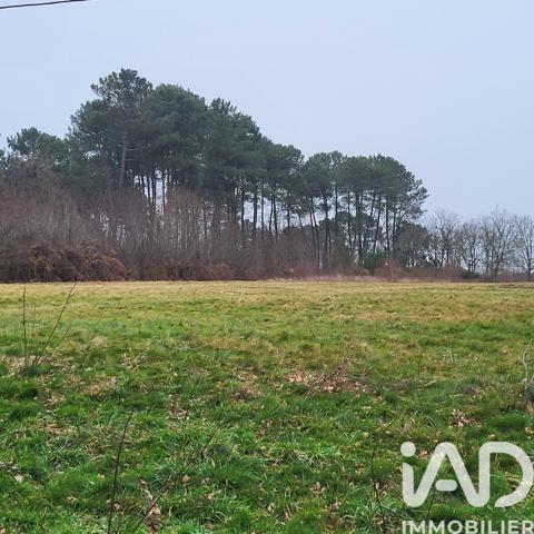 Terrain à vendre 44 000 m² Bazas