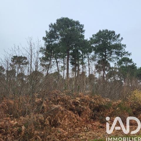Terrain à vendre 44 000 m² Bazas