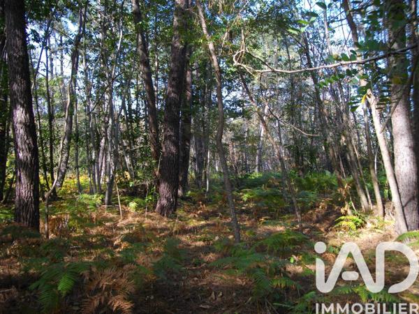 Terrain à vendre 44 000 m² Bazas