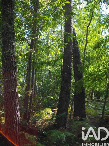 Terrain à vendre 44 000 m² Bazas