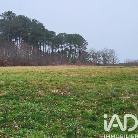 Terrain à vendre 44 000 m² Bazas