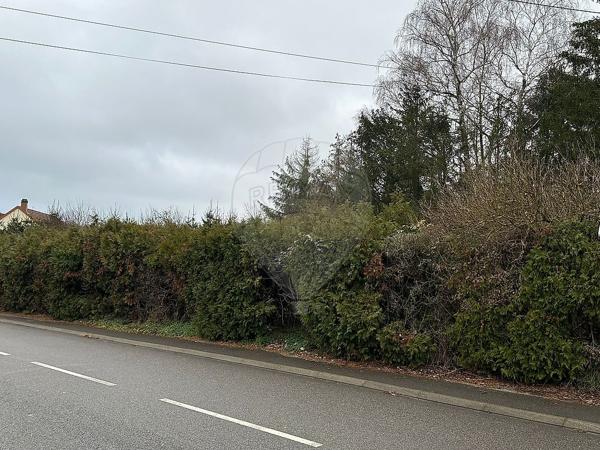 Terrain  en vente - Moselle - 57