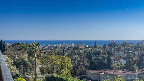 Vente / Appartement T3 à Antibes (06600)