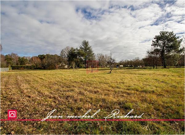 Maison Chatillon Sur Cher 6 pièce(s) 106 m2