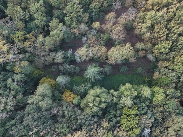 Maison à Vendre aux Adrets de l'Esterel - 3 Chambres et Piscine