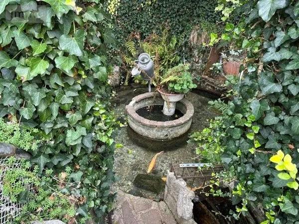 Achat - Maison | Maison de ville Neufchâtel-en-Bray 76270 5 pièces 145 m 2 606 m 2