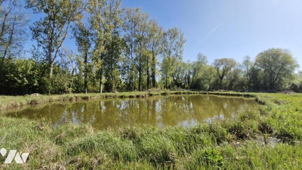 TERRAIN DE LOISIR AVEC ETANG 