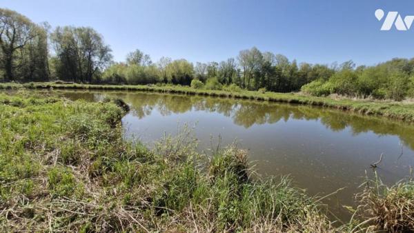 TERRAIN DE LOISIR AVEC ETANG 