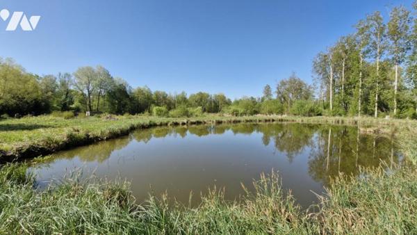 TERRAIN DE LOISIR AVEC ETANG 