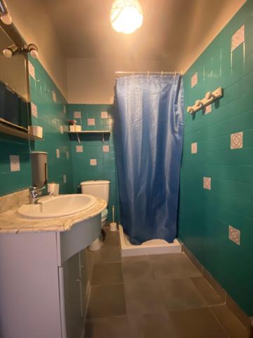 Maison Chatillon Coligny 4 pièce(s) 74 m2