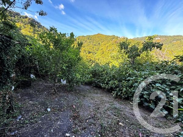 Maison à vendre  4 pièces - 96 m2 SAN NICOLAO - 202