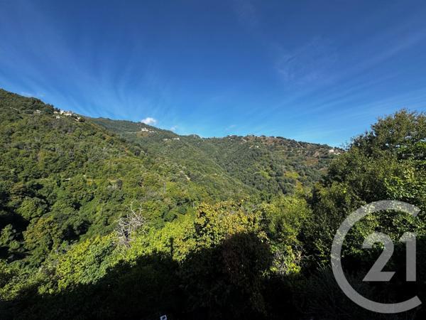 Maison à vendre  4 pièces - 96 m2 SAN NICOLAO - 202