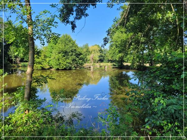 Propriété 9 pièces cadre enchanteur GALGON (33)