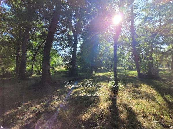 Propriété 9 pièces cadre enchanteur GALGON (33)