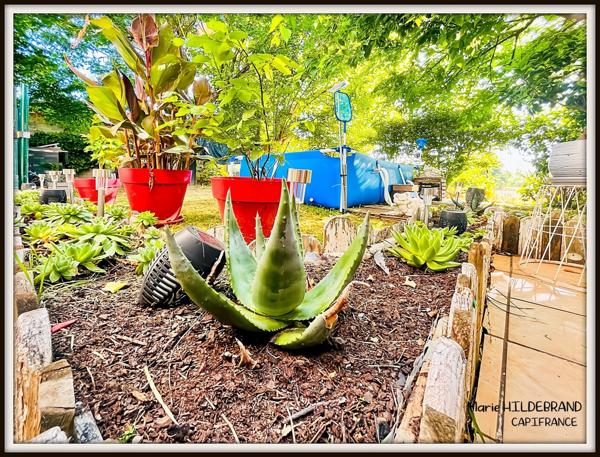 Immeuble à vendre COLAYRAC SAINT CIRQ (47)