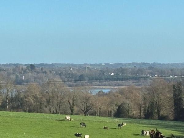 Maison de caractère à rénover -130m² Grand terrain Plomelin