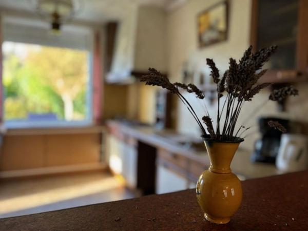 Maison de caractère à rénover -130m² Grand terrain Plomelin