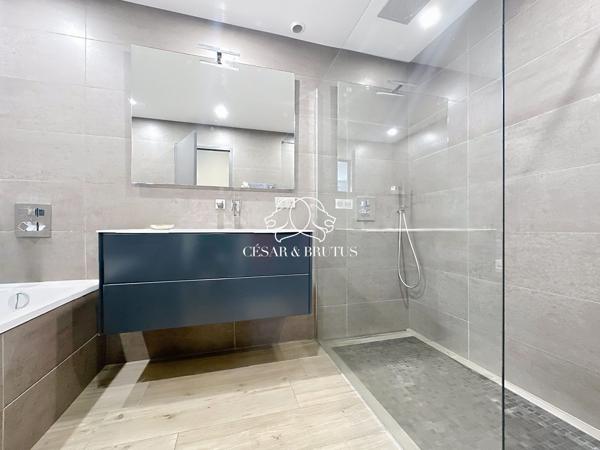 Magnifique Appartement climatisé et sa dépendance totalisant 128m2 au sol au coeur de Collonges au Mont d’Or