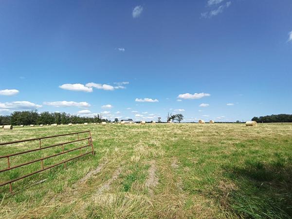 7 km de Magny-Cours - Ferme avec 3 hectares