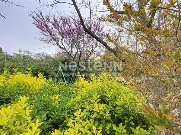 Maison familiale à vendre ? Quartier recherché de Saint-Rémy-de-Provence