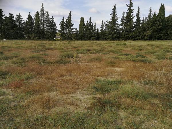 SAINT PAUL TROIS CHÂTEAUX - Terrain à bâtir viabilisé 1339 m² - Hors lotissement Saint-Paul-Trois-Châteaux (26130)