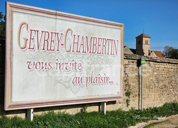 Maison en Pierre de 177 m2 - Un cocon chaleureux à Gevrey-Chambertin, entre charme, nature et convivialité.