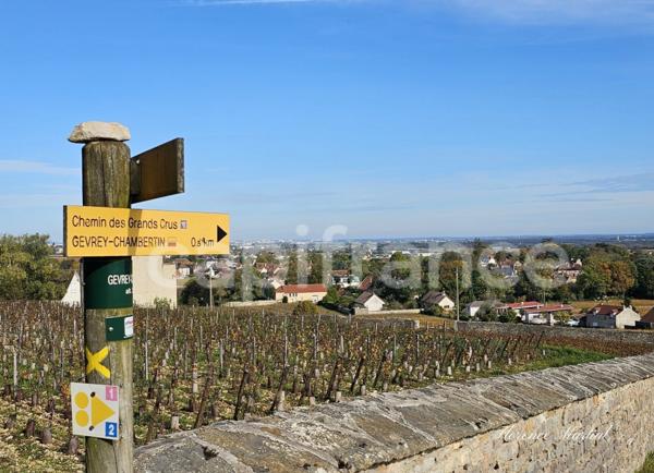 Maison en Pierre de 177 m2 - Un cocon chaleureux à Gevrey-Chambertin, entre charme, nature et convivialité.