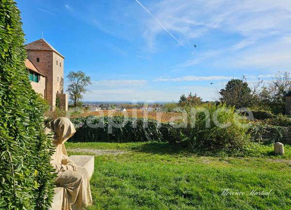 Maison en Pierre de 177 m2 - Un cocon chaleureux à Gevrey-Chambertin, entre charme, nature et convivialité.