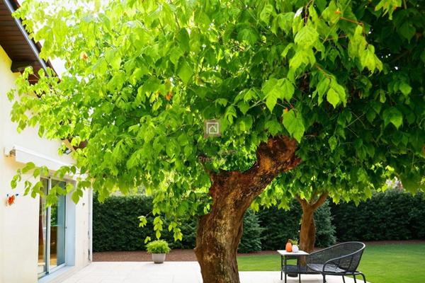 Pessac Maison de plain-pied avec une belle parcelle fort potentiel avec deux garages  et une dépendance
