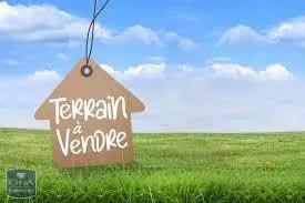 Terrain à vendre 317m²