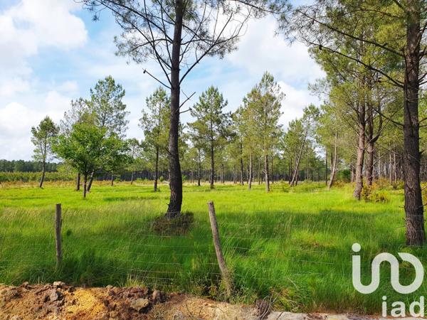 Terrain à vendre 76 538 m² Parentis-en-Born