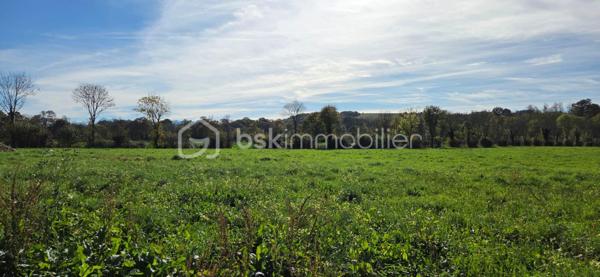 Terrain de 1 034 m²