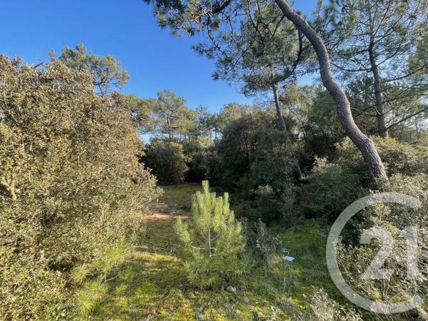 Terrain à vendre  1616 m 2   ST HILAIRE DE RIEZ  - 85