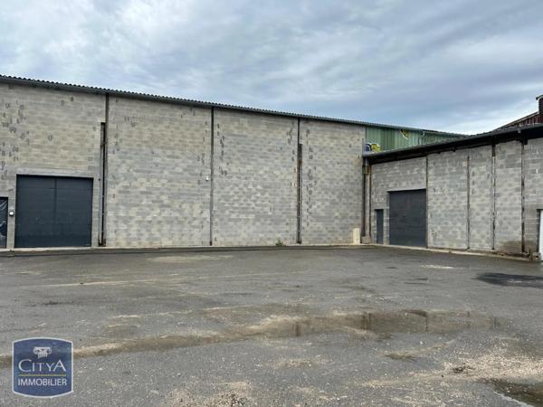 Local commercial à louer 233.5m²