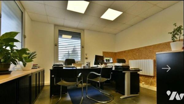 locaux commerciaux murs et fonds de commerce