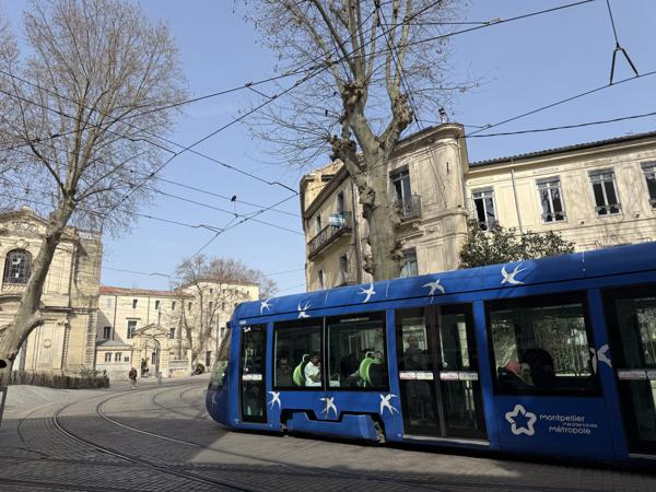 Montpellier (34000) Montpellier Écusson – 2 pièces - ascenseur