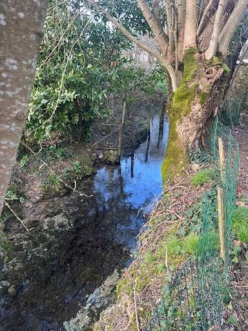 Maison de Maître à rénover environ 300m² avec garages, jardin, puits, dépendances, cours d'eau