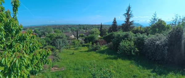 🌳 Terrain arboré de 606 m² – Un écrin de verdure au cœur de Saint-Nazaire-en-Royans (26190)