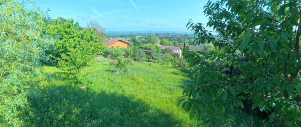 🌳 Terrain arboré de 606 m² – Un écrin de verdure au cœur de Saint-Nazaire-en-Royans (26190)